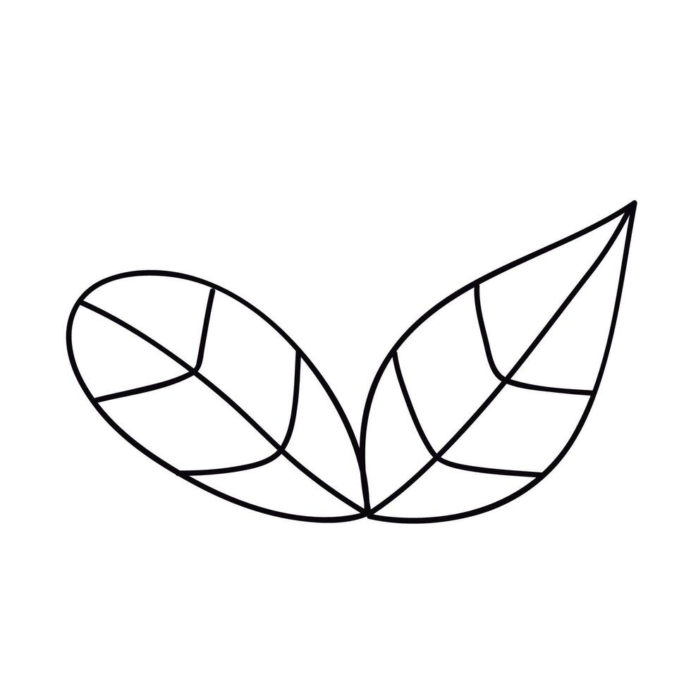 leafs plant foliage line art vector