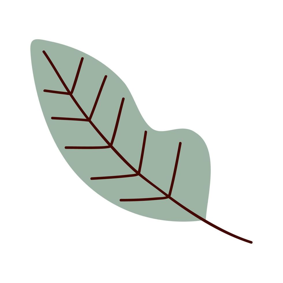 planta de hoja verde vector