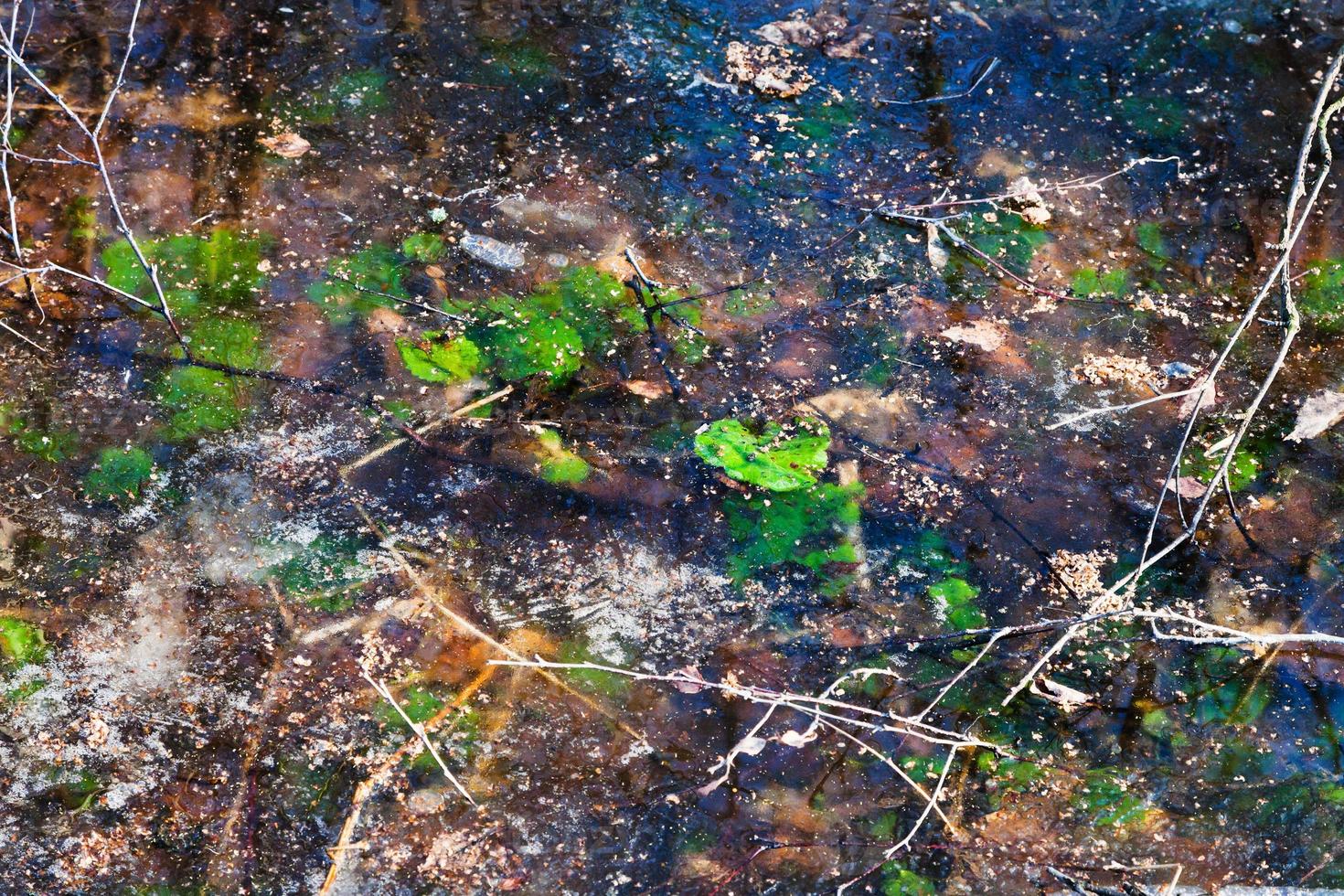 frozen puddle in early spring photo