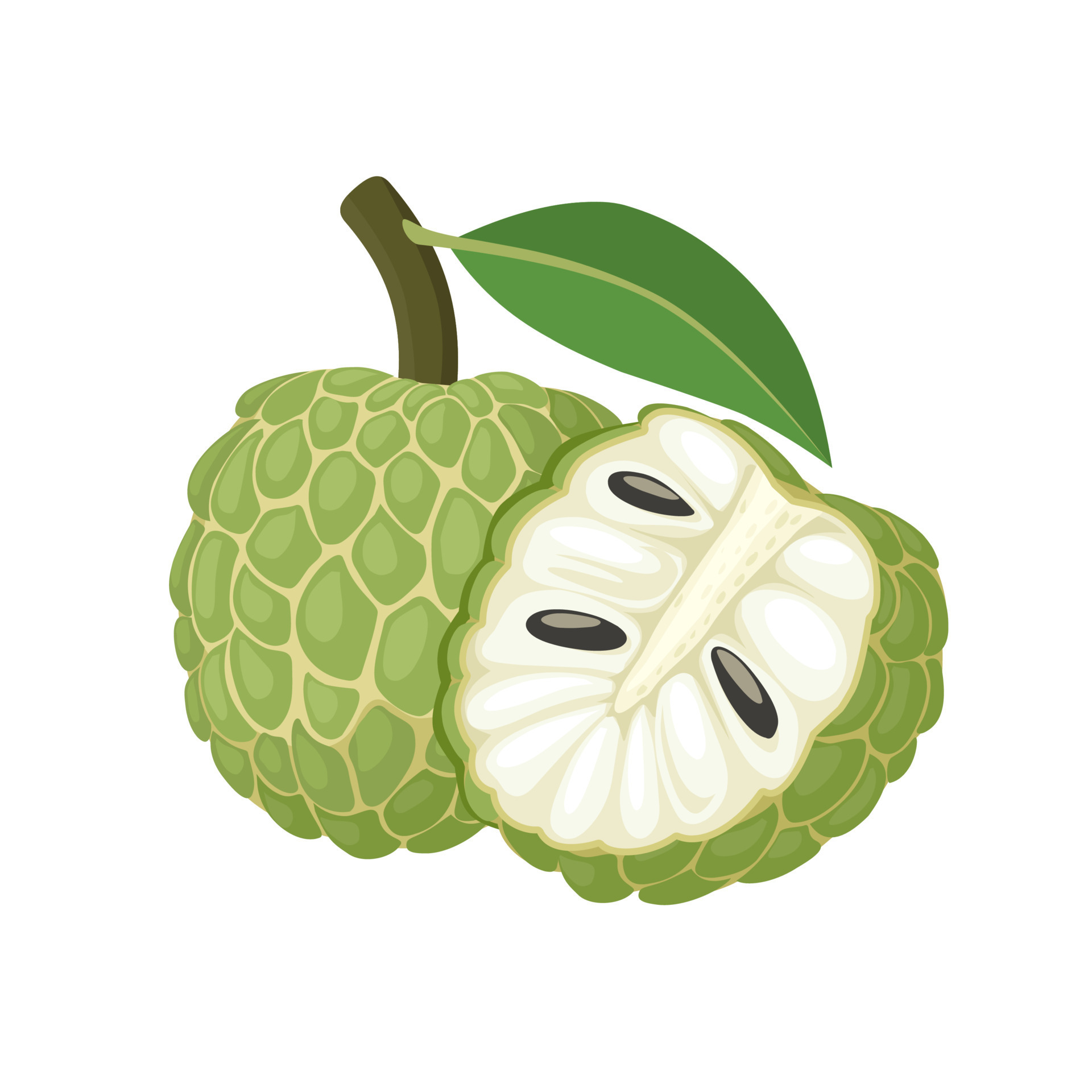 Images Of Custard Apple images-of-custard-apple