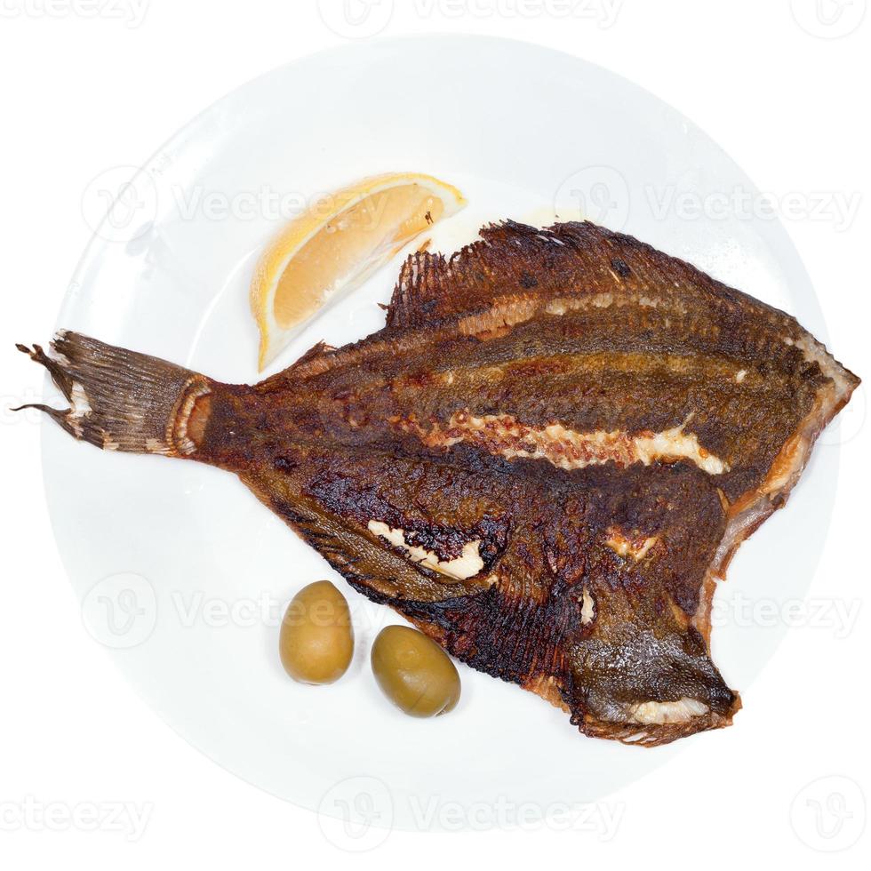 fried sole fish on plate photo