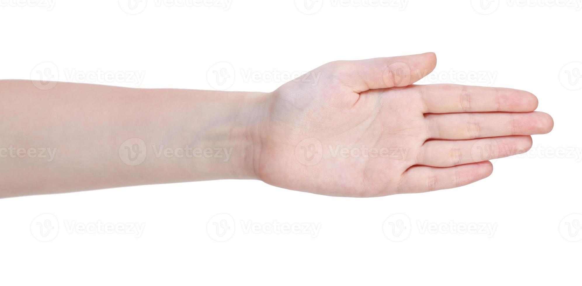 open straight five fingers hand gesture photo