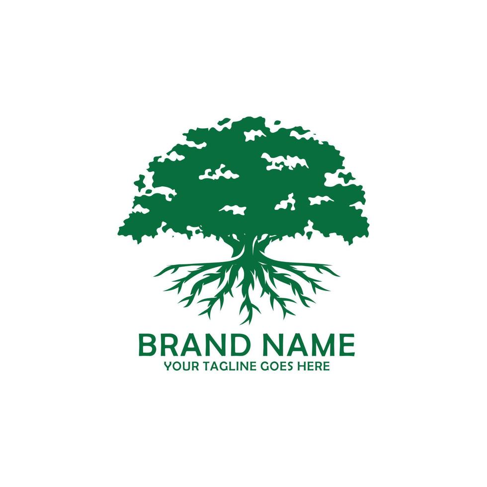 Oak tree logo design vector