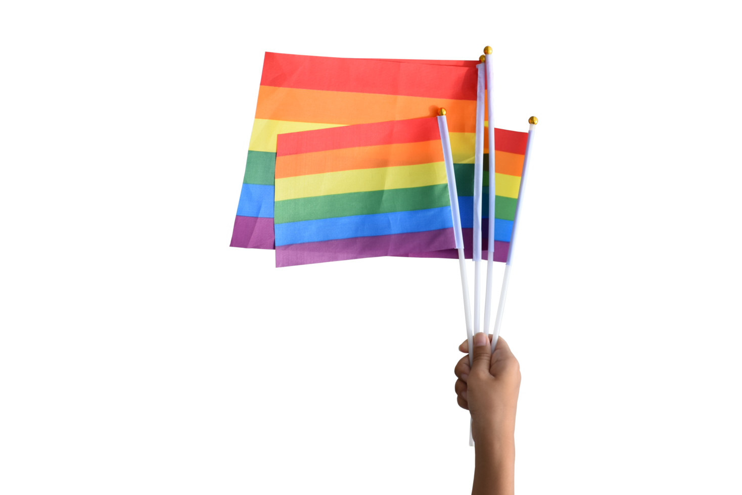 isolated rainbow flags, lgbt symbol, in hands with clipping paths. png