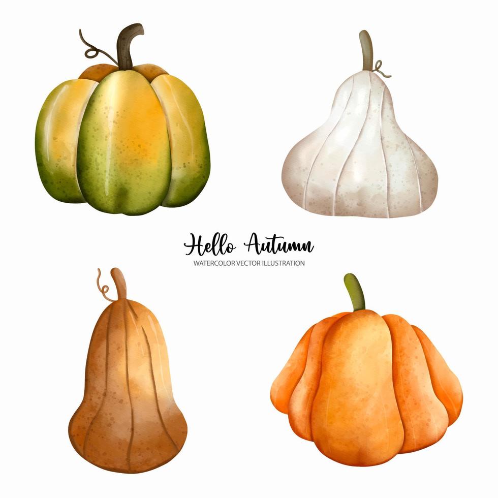 Autumn or Fall season, Pumpkin Autumn elements, watercolor Vector illustration
