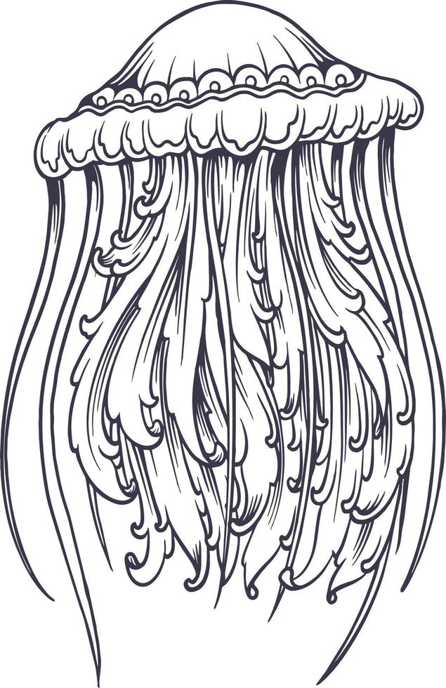 Luxury classic jellyfish ornament silhouette vector