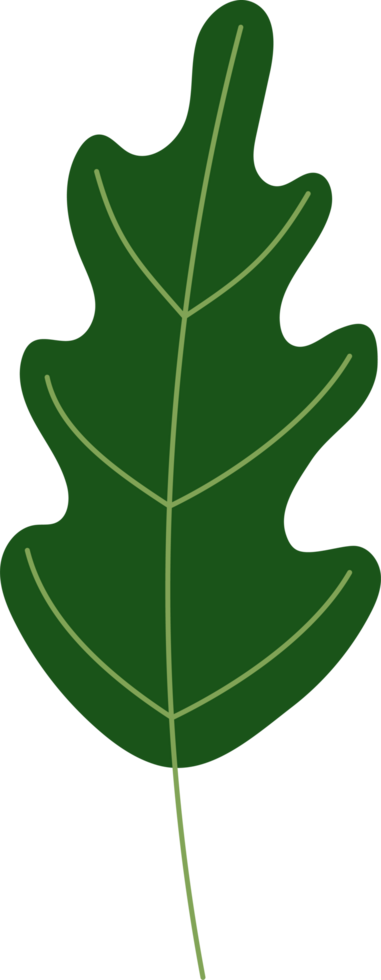 illustration de feuilles tropicales. élément de conception de plante verte png