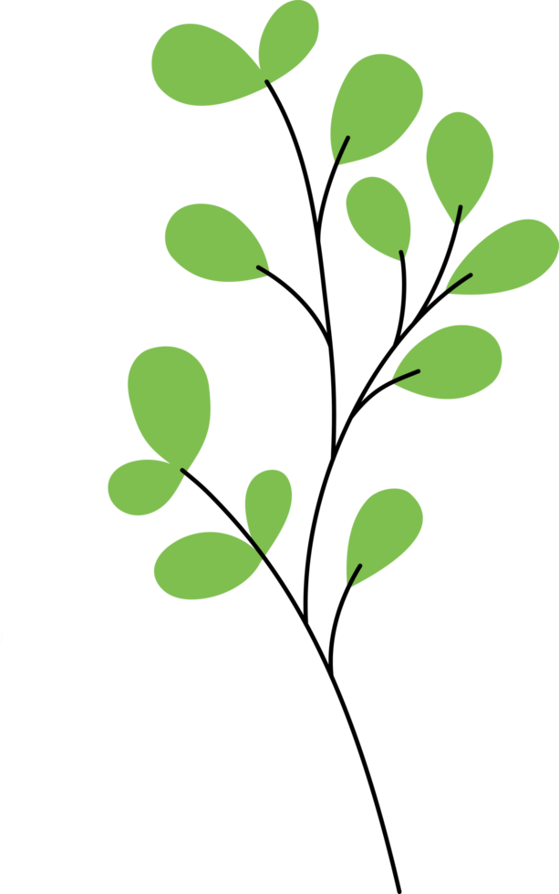 illustration de feuilles tropicales. élément de conception de plante verte png