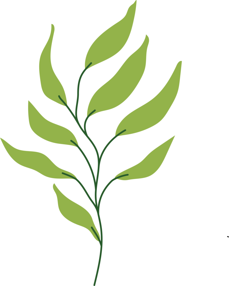 tropical leaf illustration. green house plant design element png