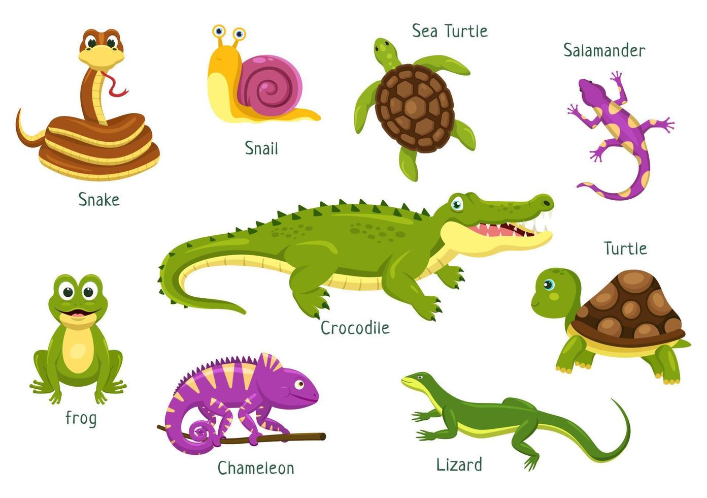 conjunto de plantilla de reptil animal ilustración plana de dibujos  animados dibujados a mano con varios tipos de concepto de animales reptiles  12024855 Vector en Vecteezy