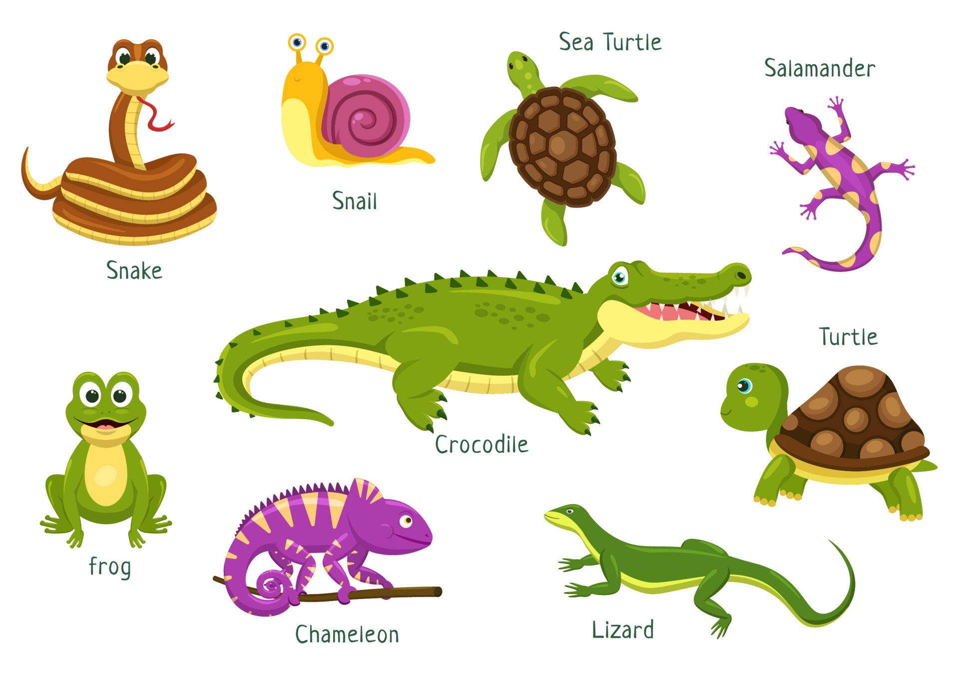Reptiles Animals