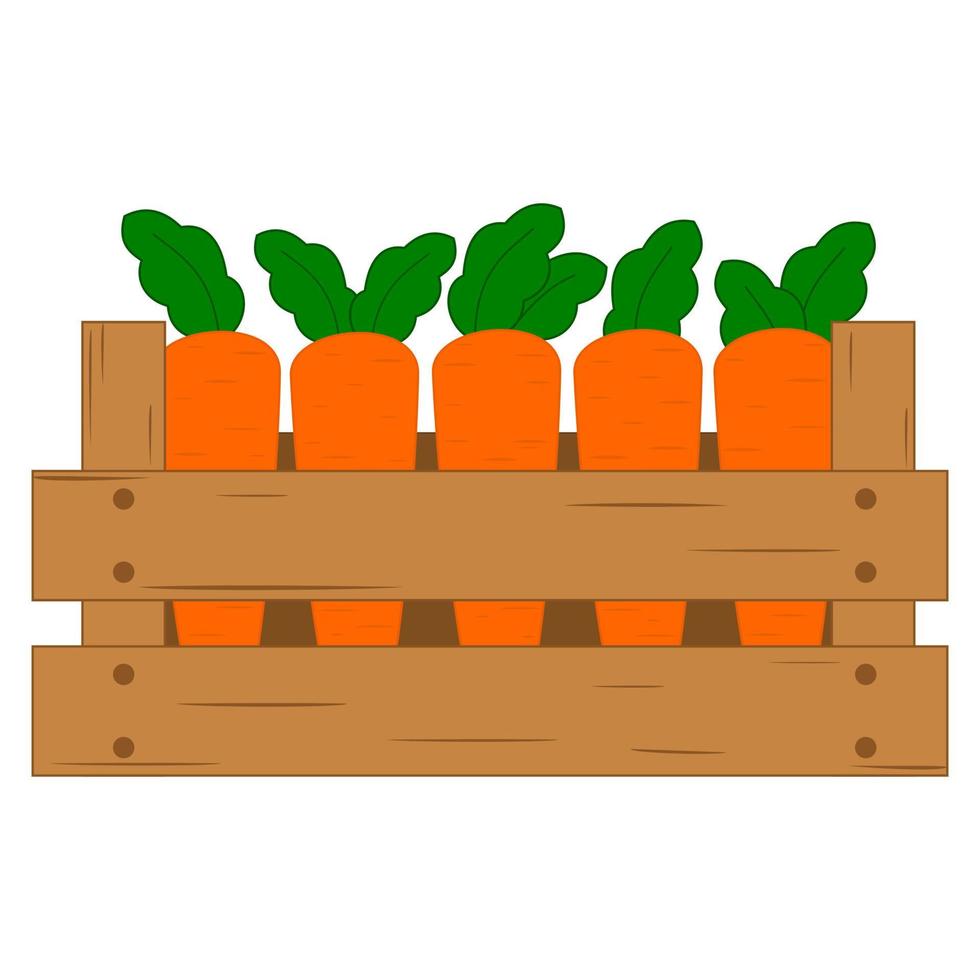 zanahorias en una caja vector