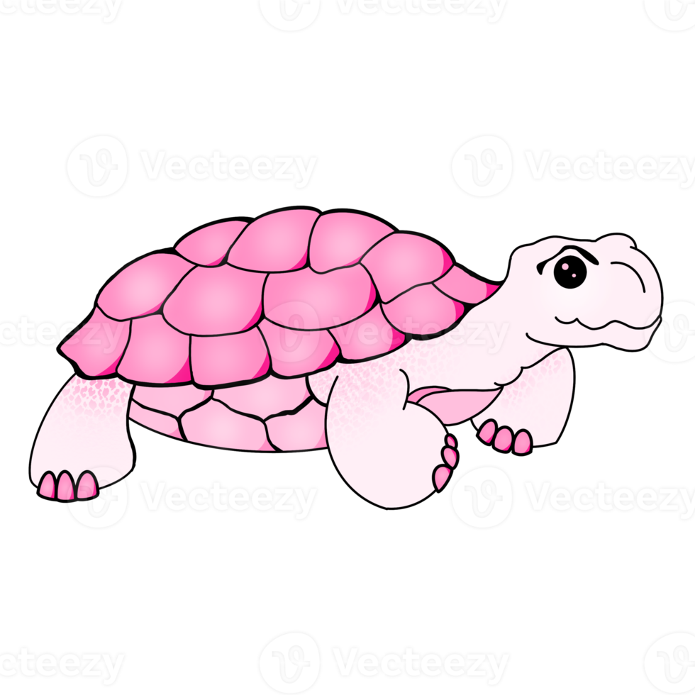 The Smile Turtle png