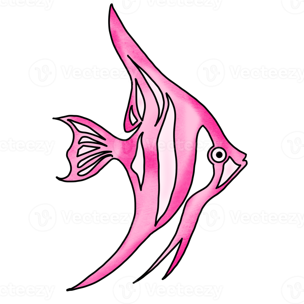 Pink Angle Fish png