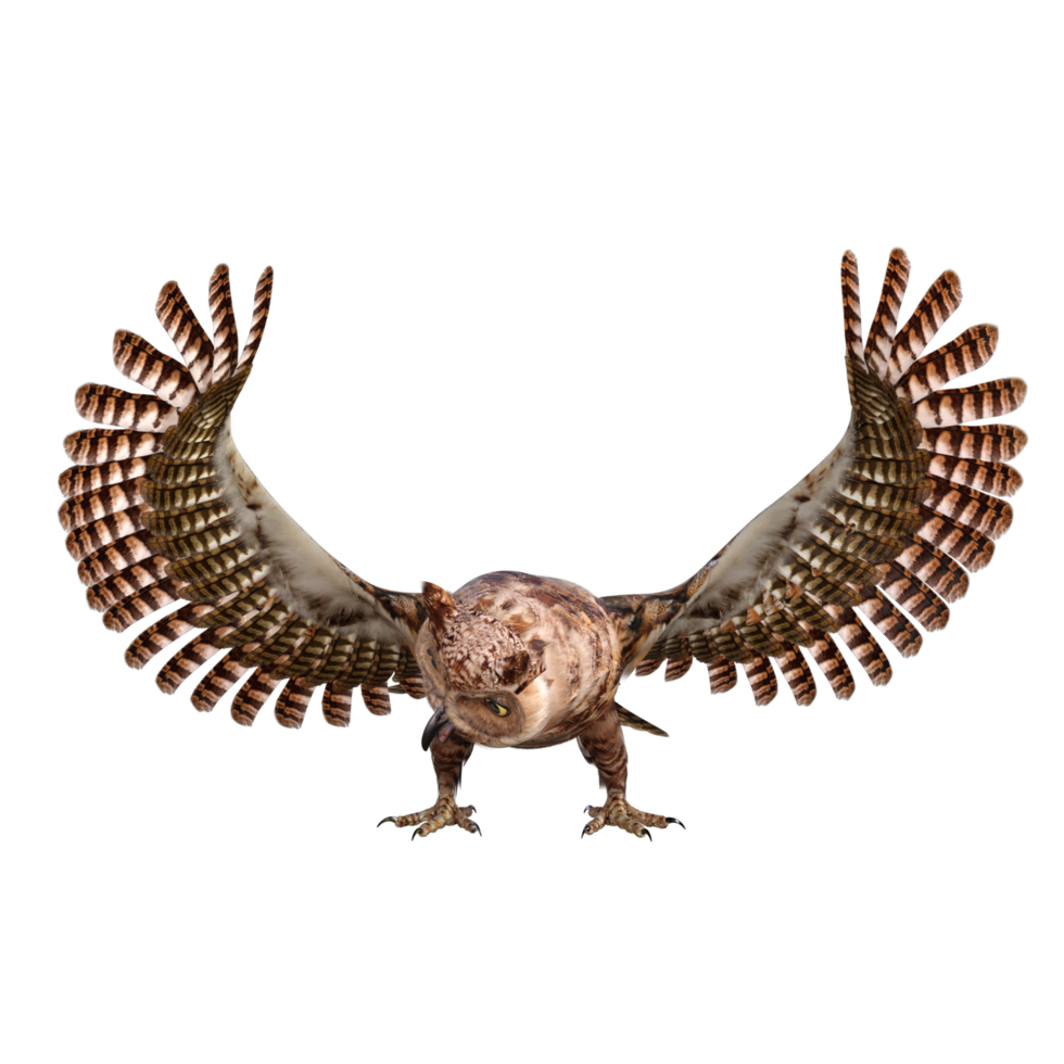 Owls 3d render png