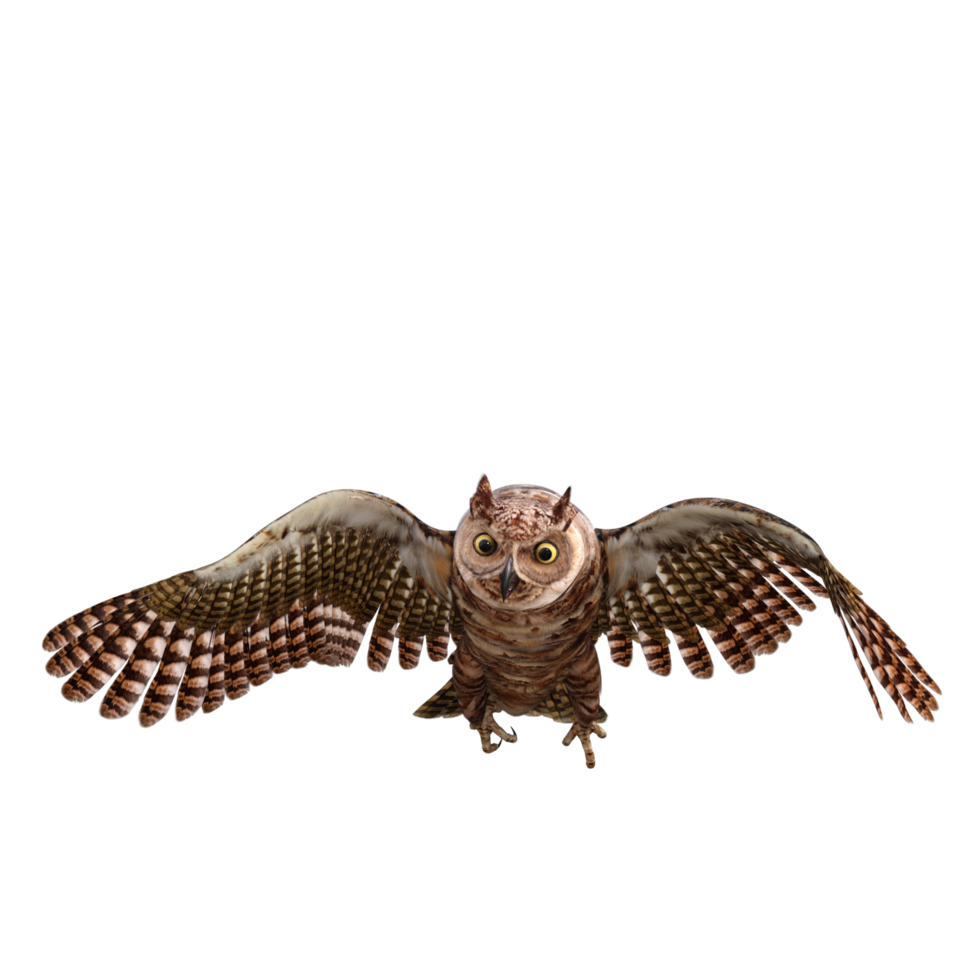 Owls 3d render png