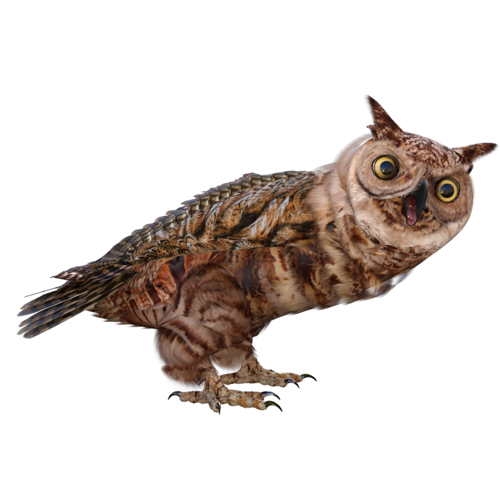 Owls 3d render png