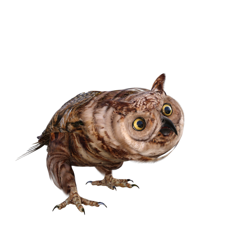 Owls 3d render png