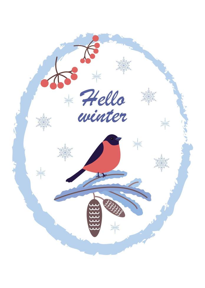 Greetings winter postcard with bullfinch and spruce branch. vector illustration