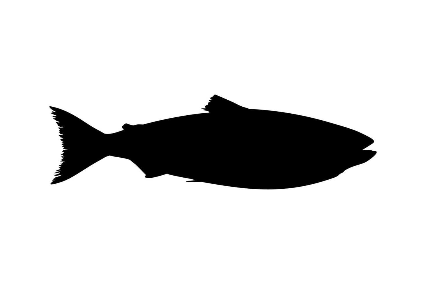 Salmon Fish Silhouette for Icon, Symbol, Logo, Pictogram, Apps, Website or Graphic Design Element. Vector Illustration
