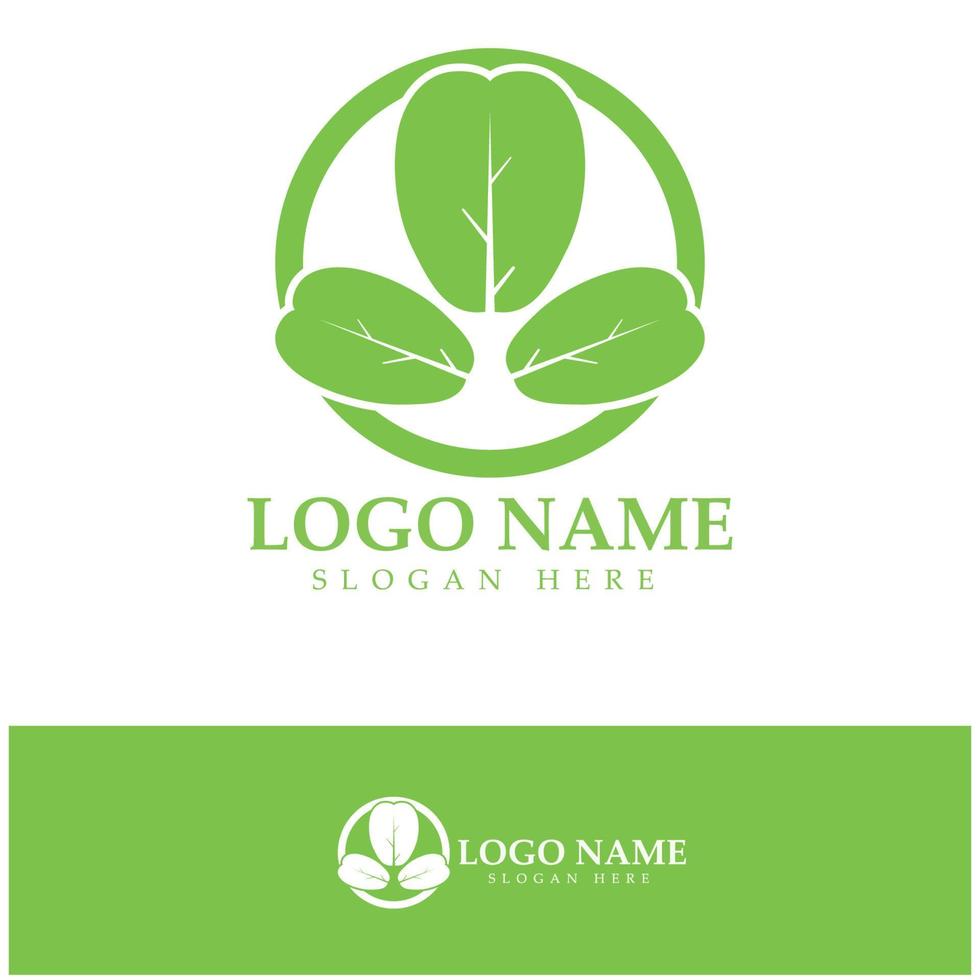 green moringa leaf logo, for herbal ingredients, moringa farming, health, medicine industry, beauty, therapy, concept design vector illustration icon template with a modern concept