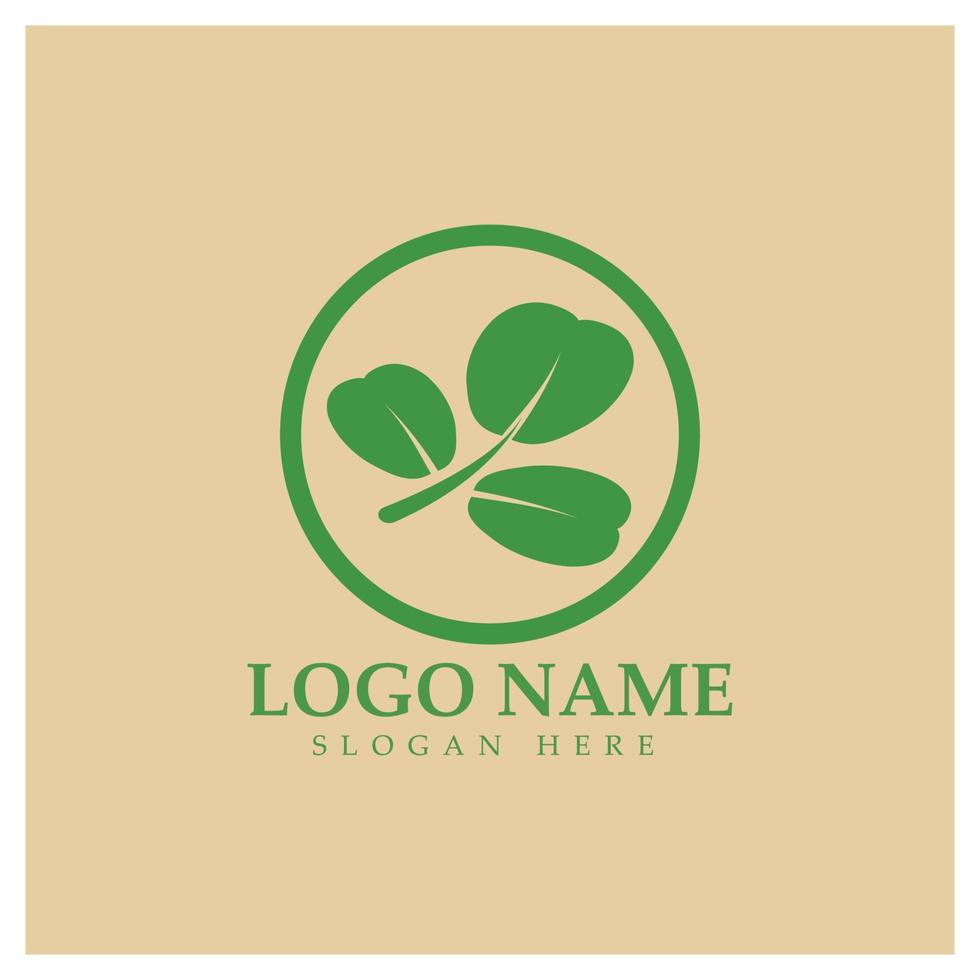 green moringa leaf logo, for herbal ingredients, moringa farming, health, medicine industry, beauty, therapy, concept design vector illustration icon template with a modern concept