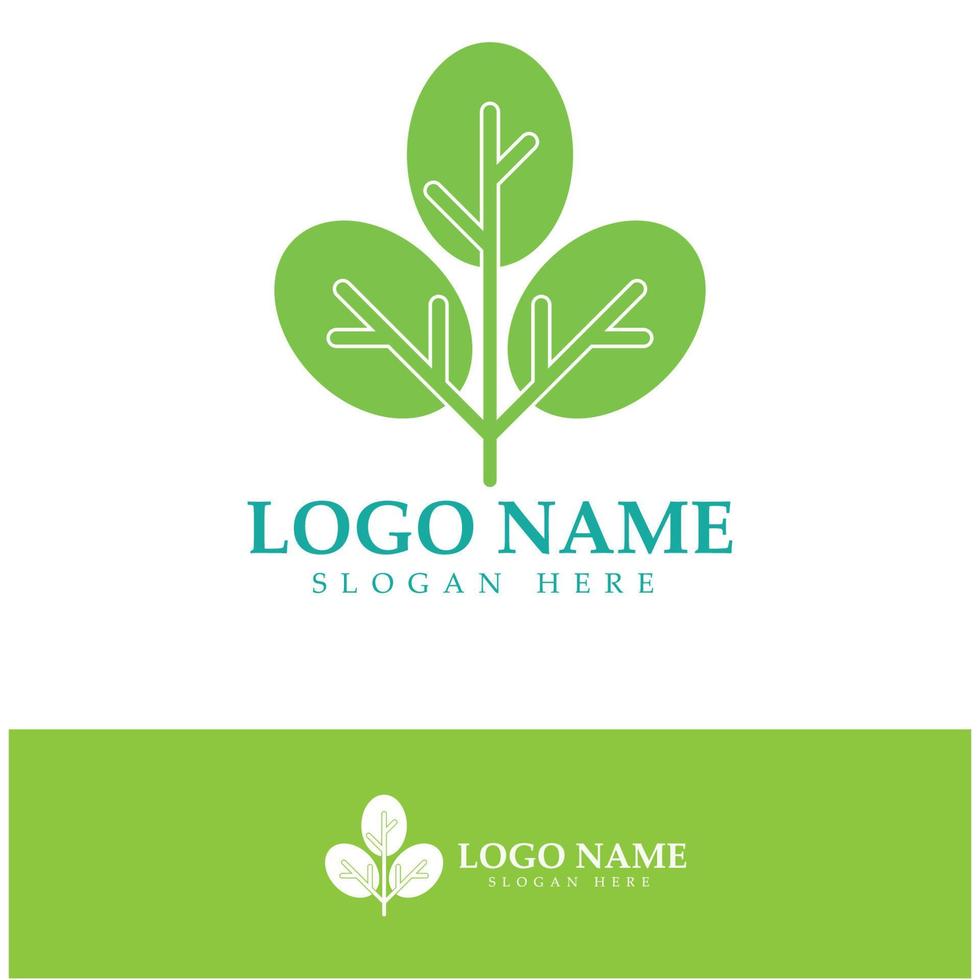 green moringa leaf logo, for herbal ingredients, moringa farming, health, medicine industry, beauty, therapy, concept design vector illustration icon template with a modern concept