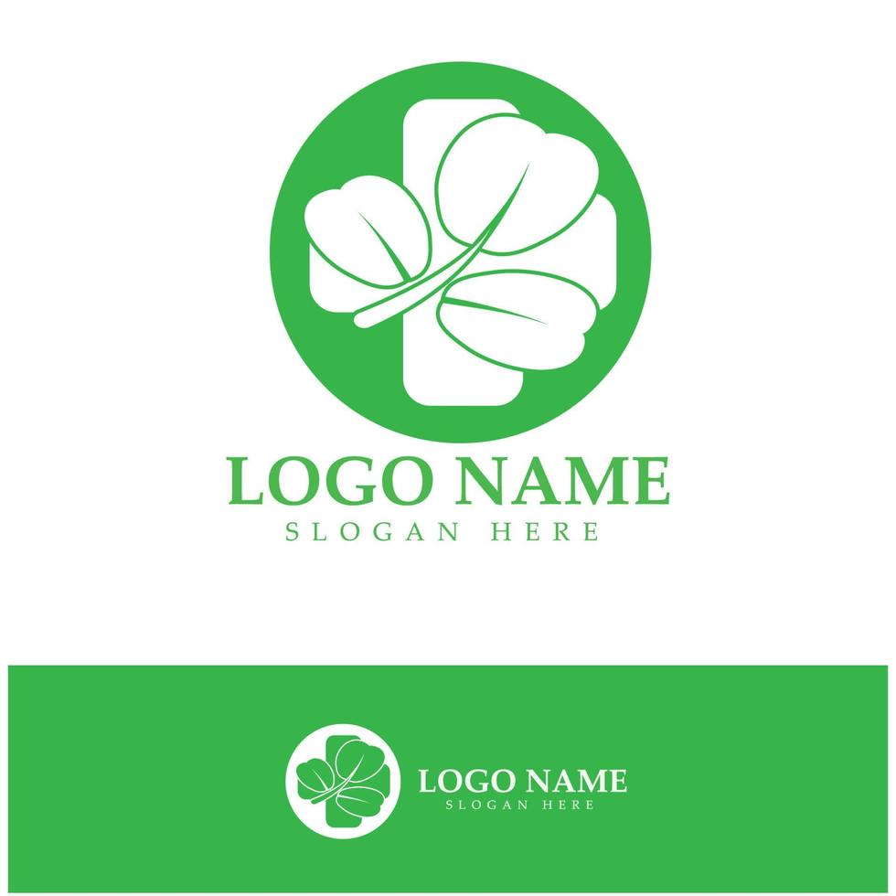 logotipo de hoja de moringa verde, para ingredientes herbales, cultivo de moringa, salud, industria de la medicina, belleza, terapia, diseño de concepto vector ilustración icono plantilla con un concepto moderno