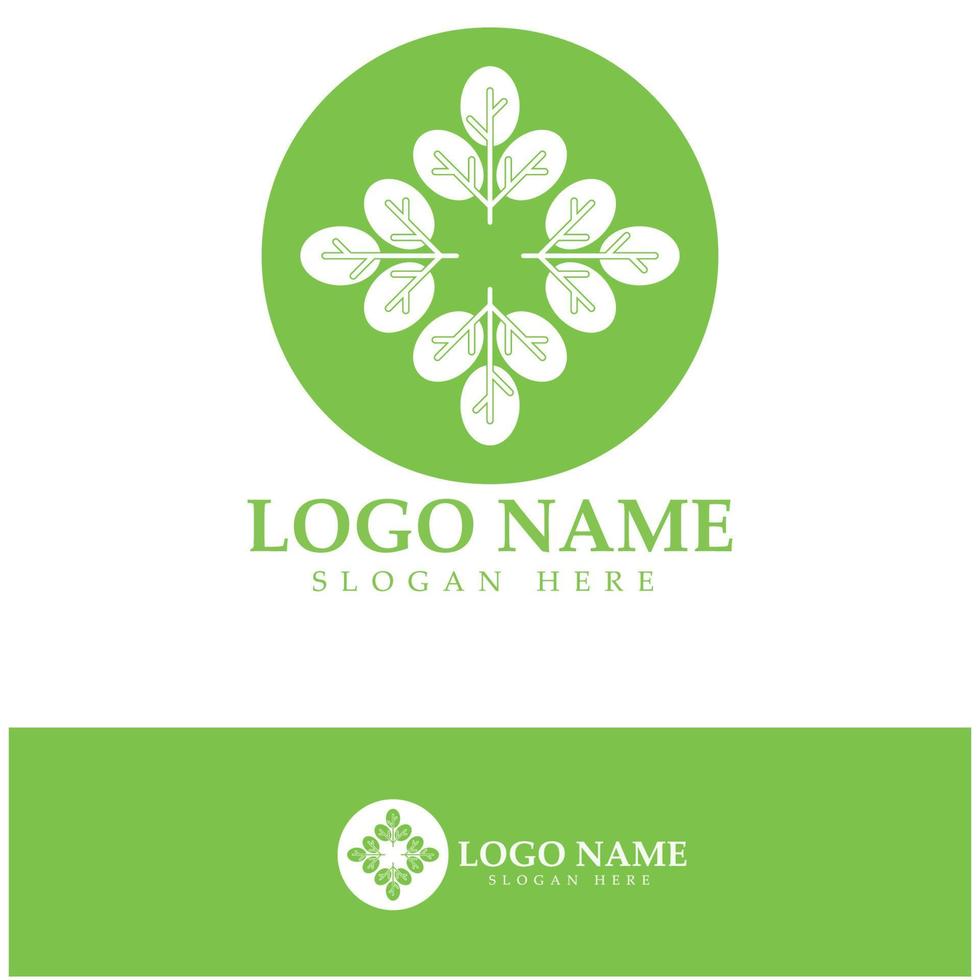 green moringa leaf logo, for herbal ingredients, moringa farming, health, medicine industry, beauty, therapy, concept design vector illustration icon template with a modern concept