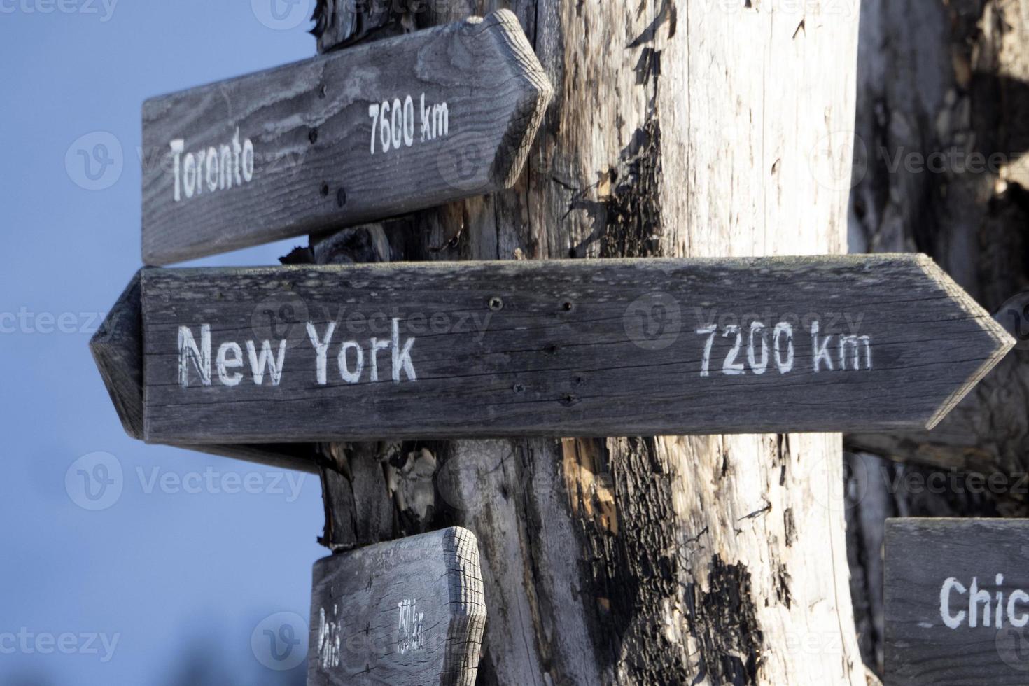 New York distance wood sign on dead tree photo