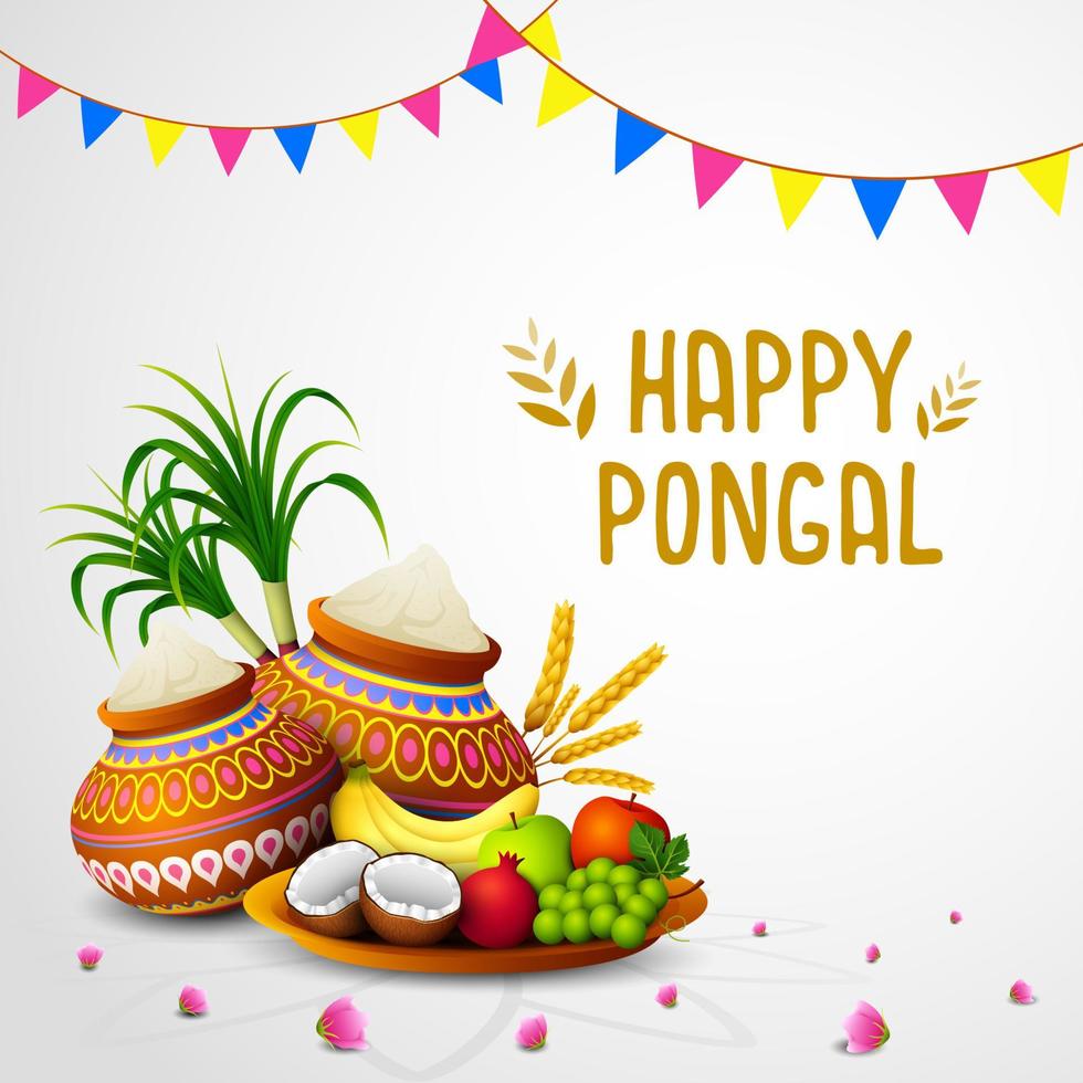 feliz pongal tarjeta de felicitación sobre fondo blanco vector