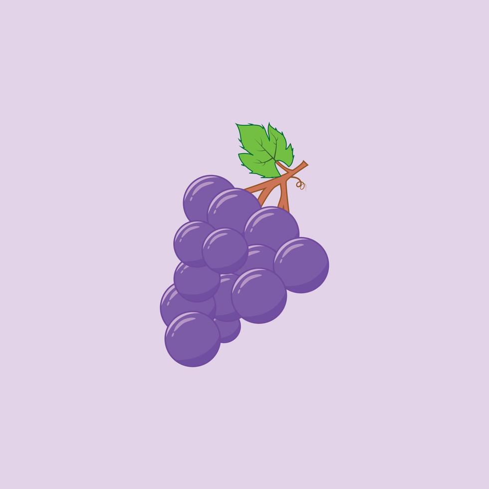 bunch of grapes with leaves vector isolated purple