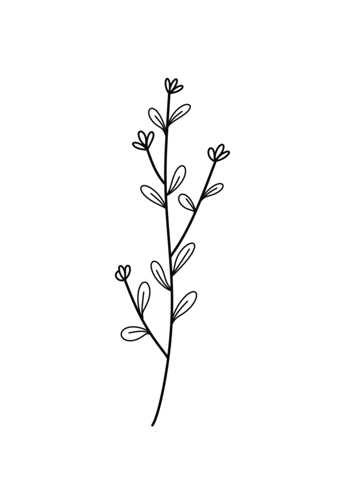 Wreath floral branch in hand drawn style png