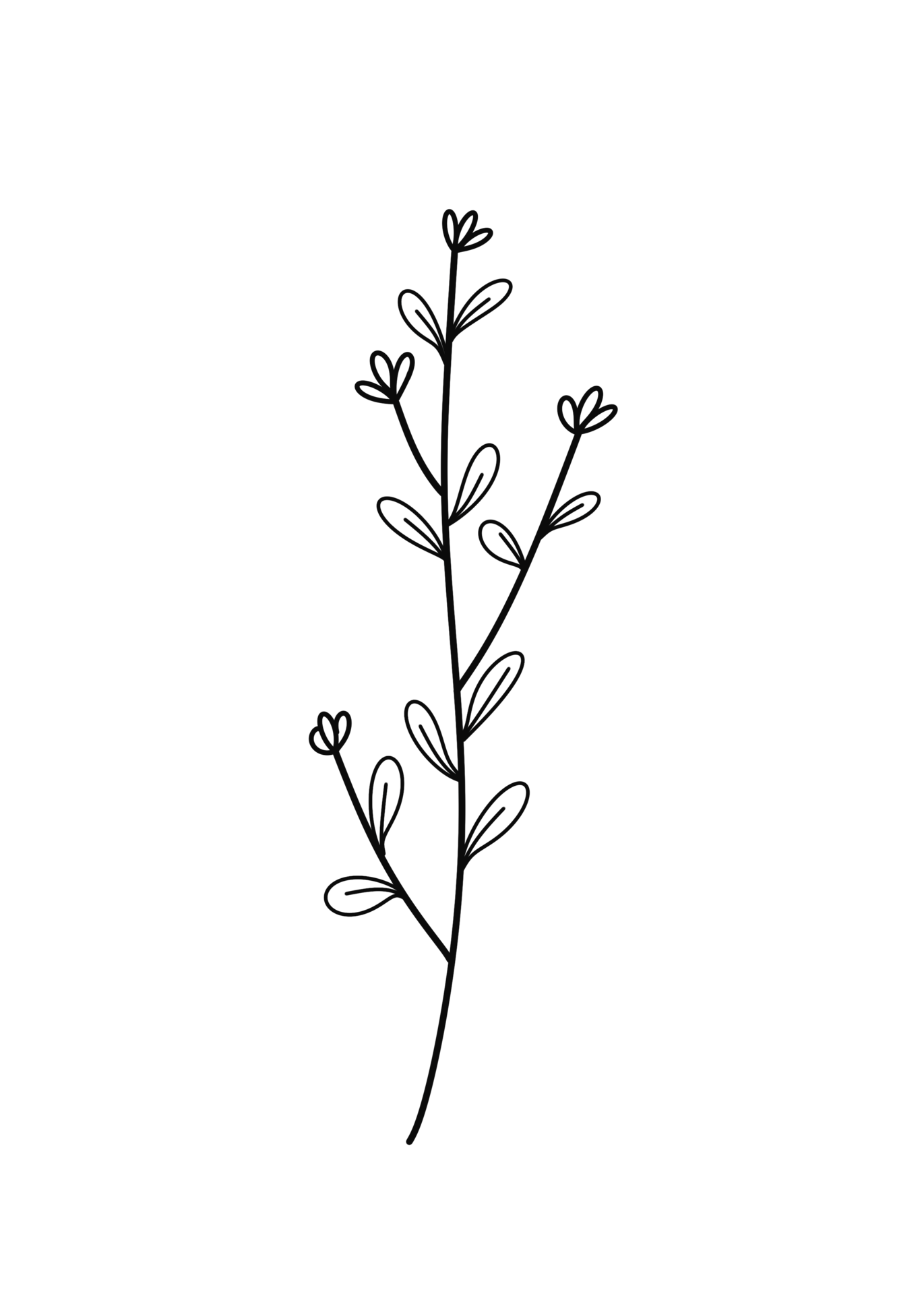 Wreath floral branch in hand drawn style 12028137 PNG