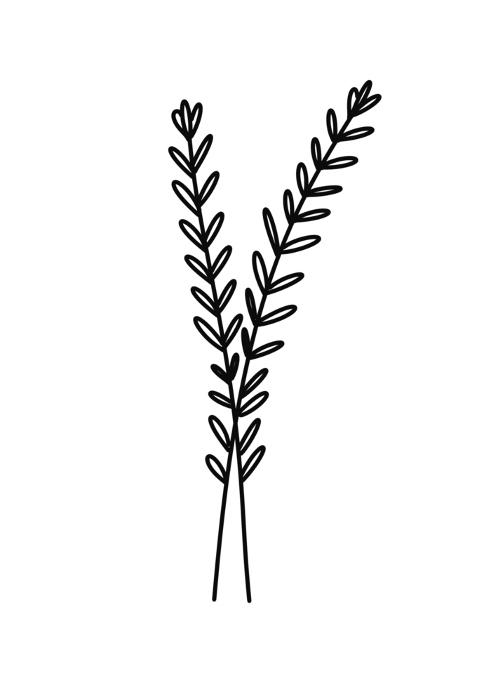 Wreath floral branch in hand drawn style png