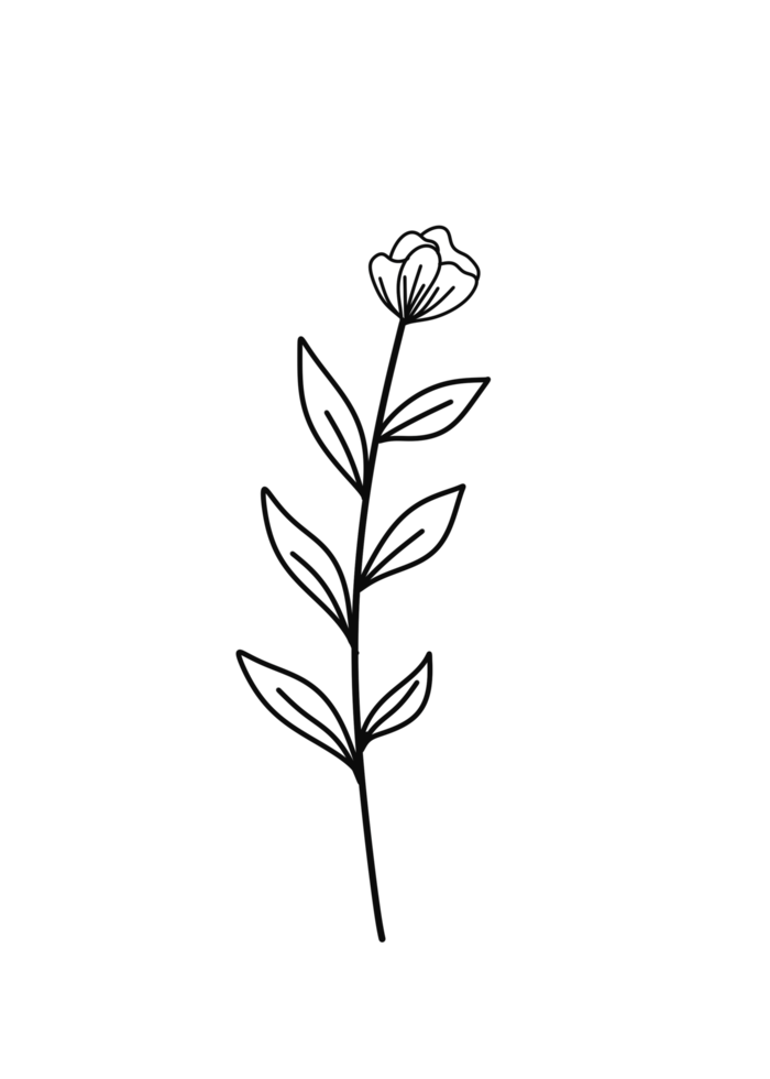 Wreath floral branch in hand drawn style png