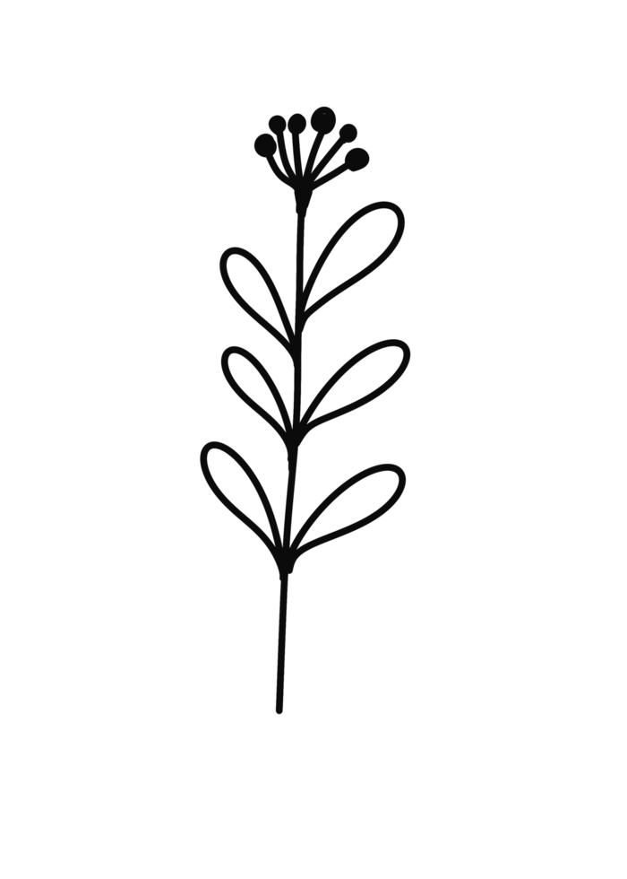 Wreath floral branch in hand drawn style png