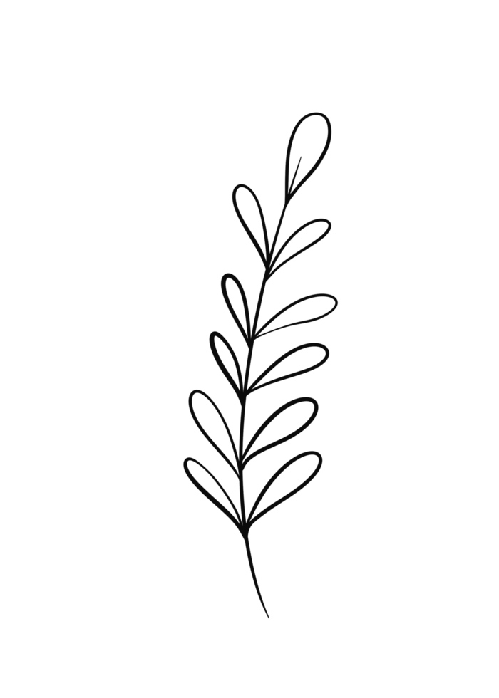 Wreath floral branch in hand drawn style png