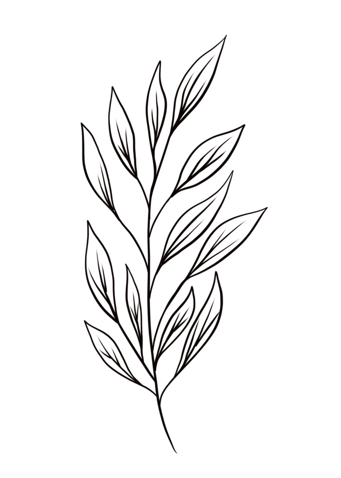 Wreath floral branch in hand drawn style png