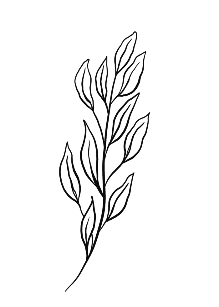 Wreath floral branch in hand drawn style png