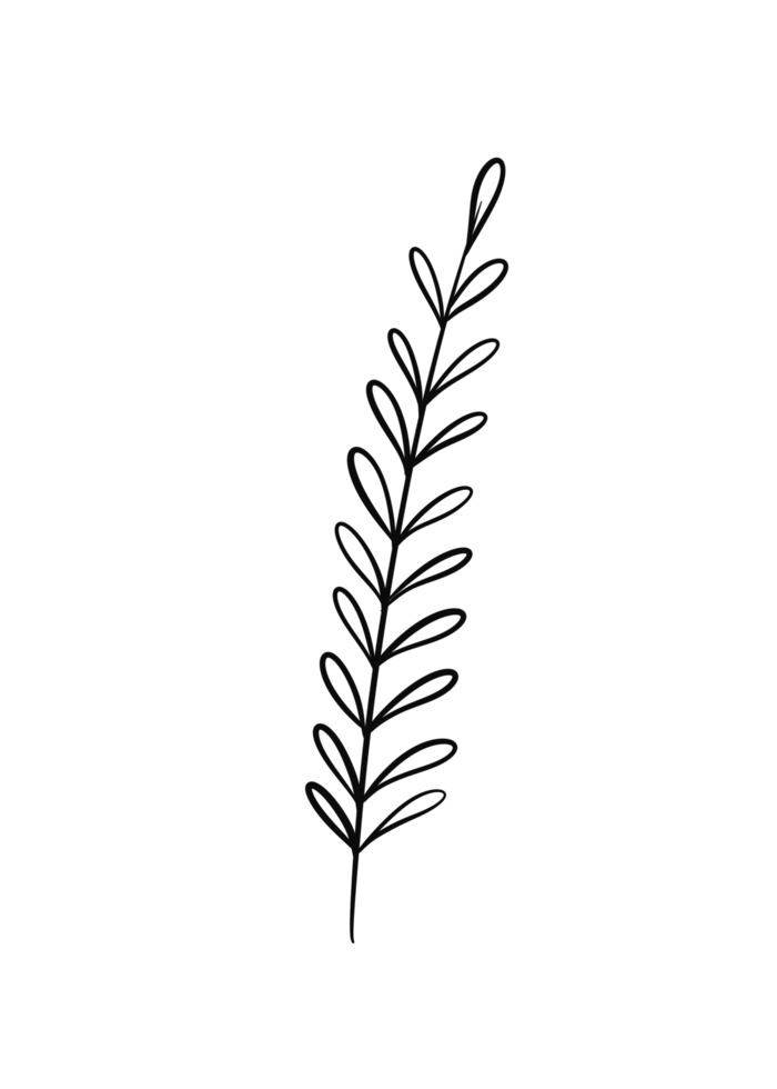 Wreath floral branch in hand drawn style png