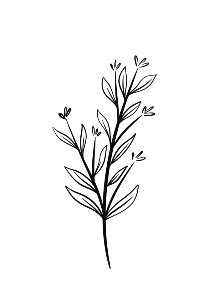 Wreath floral branch in hand drawn style png