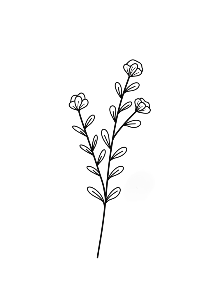 Wreath floral branch in hand drawn style png