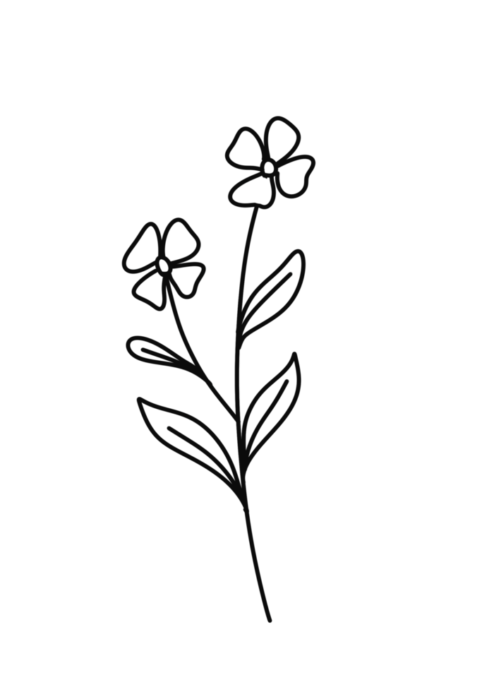 Wreath floral branch in hand drawn style png