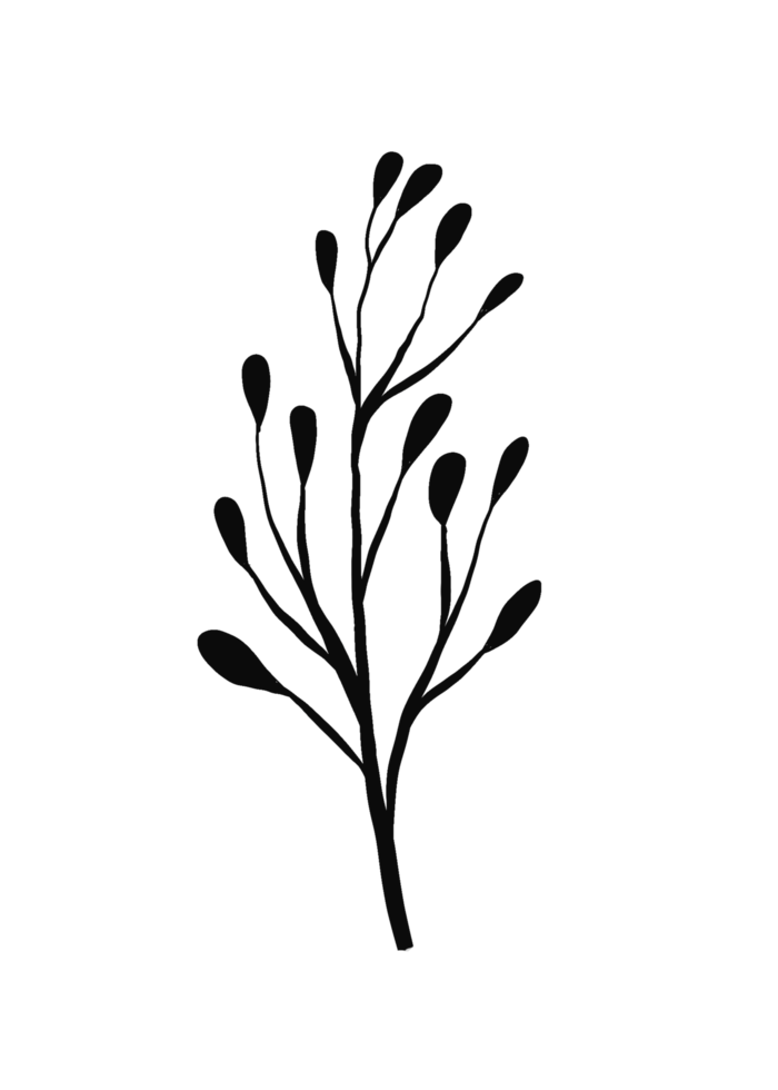 Wreath floral branch in hand drawn style png