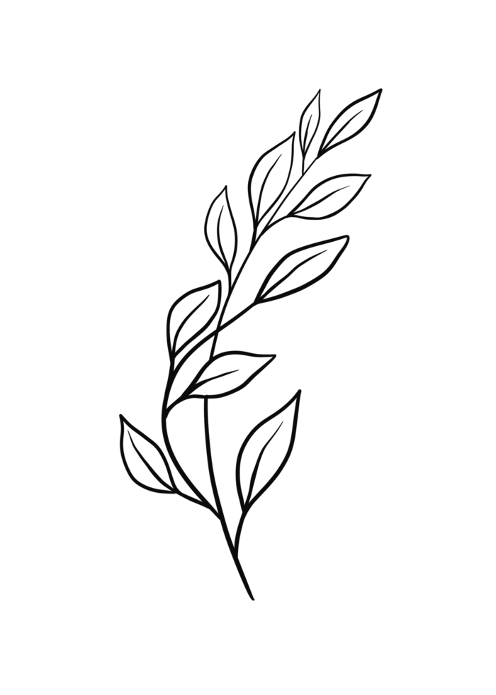 Wreath floral branch in hand drawn style png