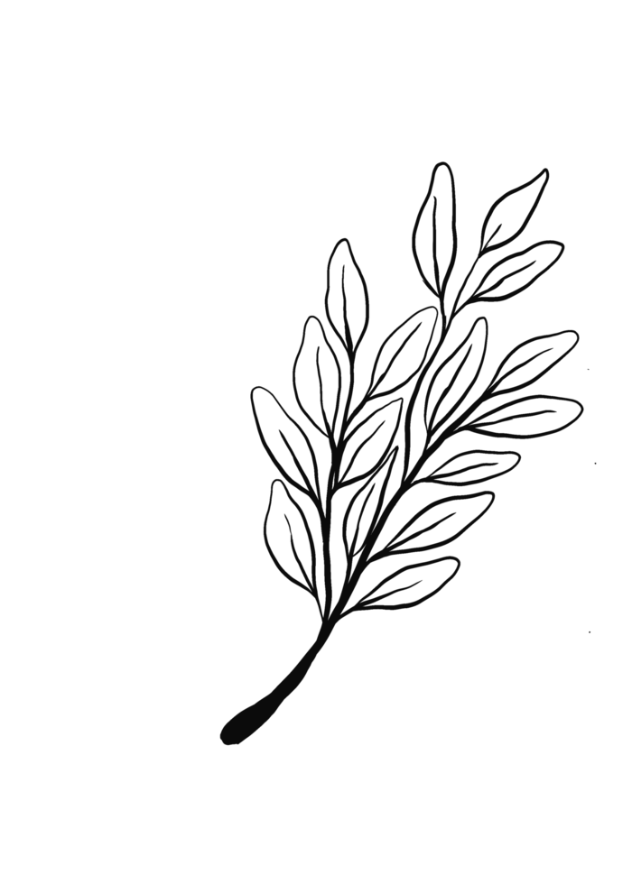 Wreath floral branch in hand drawn style png