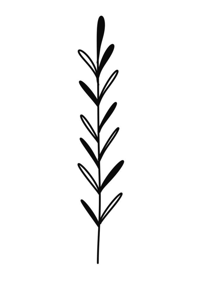 Wreath floral branch in hand drawn style png