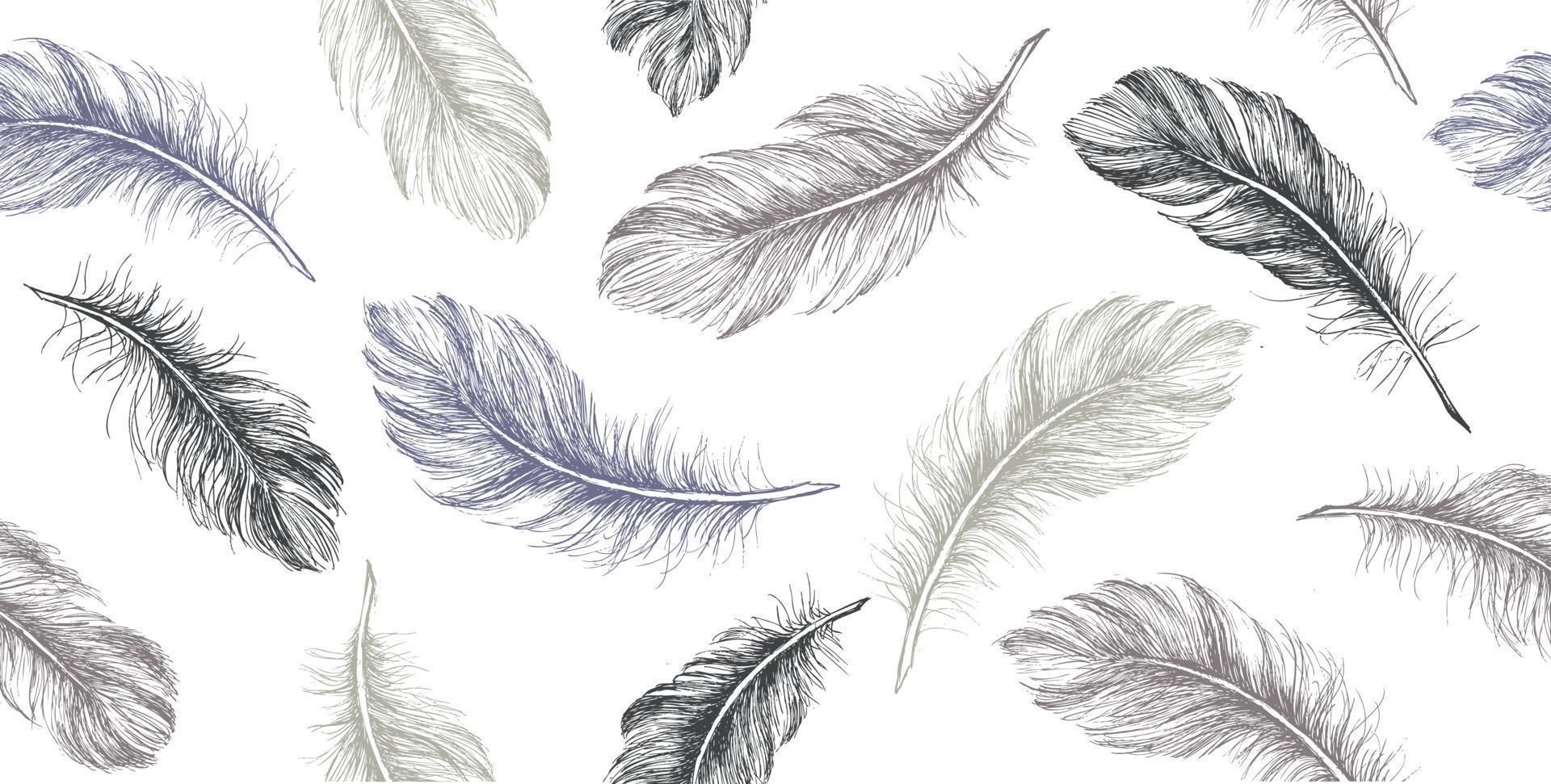 Hand drawn feather on white background. vector