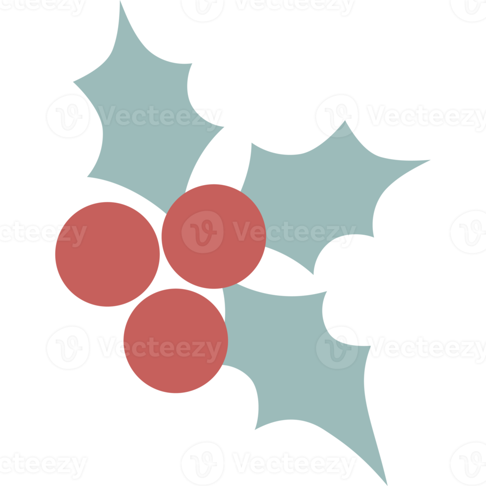 Kerstmis maretak. bessen en bladeren png